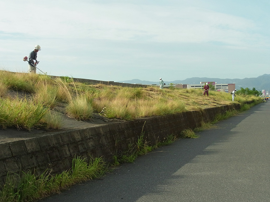 鹿児島市東開町組合団地内清掃作業